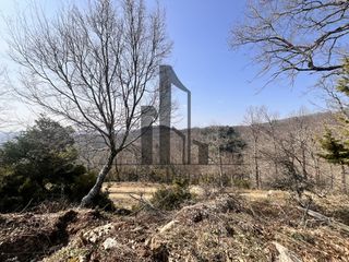 Αγροτεμάχια 6.019 τ.μ. για πώληση