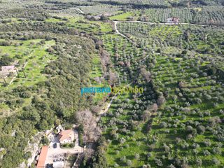 Μονοκατοικία 150 τ.μ. για ενοικίαση, Αργολίδα, Λύρκεια-thumb-2