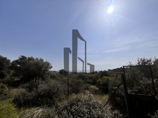 Αγροτεμάχια 8.000 τ.μ. για πώληση