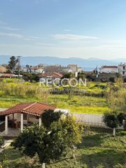 Αίθουσα 513 τ.μ. για πώληση, Εύβοια, Αμάρυνθος-thumb-19
