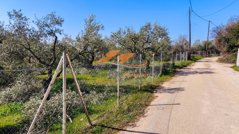 Αγροτεμάχια 10.000 τ.μ. προς πώληση, Παραλία Δικελλών