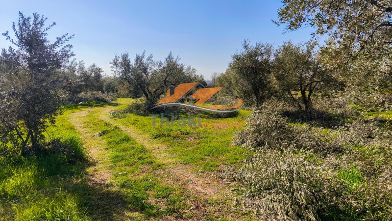 Αγροτεμάχια 10.000 τ.μ. προς πώληση, Παραλία Δικελλών