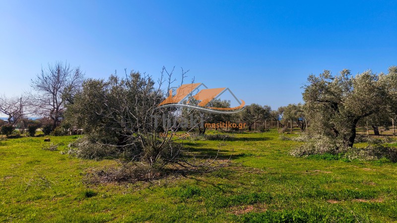 Αγροτεμάχια 10.000 τ.μ. προς πώληση, Παραλία Δικελλών