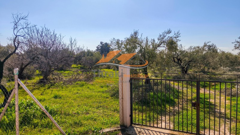 Αγροτεμάχια 10.000 τ.μ. προς πώληση, Παραλία Δικελλών
