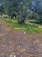 Αγροτεμάχια 1.200 τ.μ. για πώληση