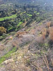 Οικόπεδο 5.000 τ.μ. για πώληση