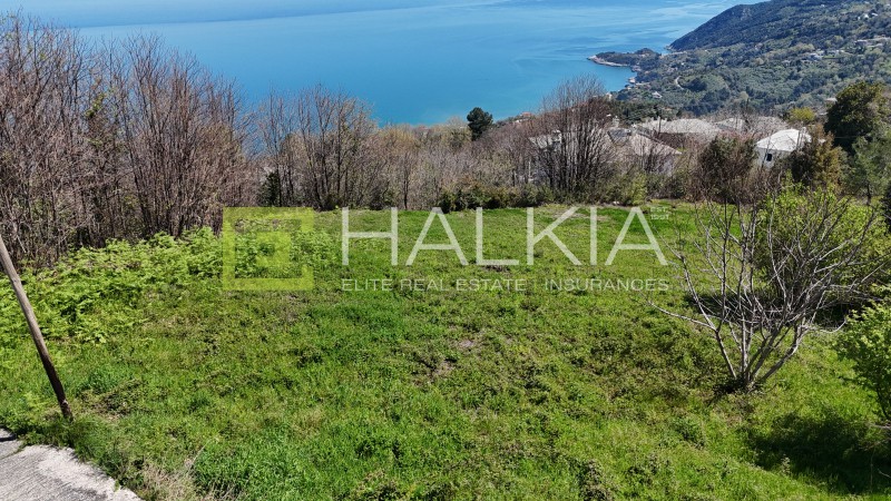 Οικόπεδο 2.027 τ.μ. προς πώληση, Άγιος Δημήτριος Μουρεσίου