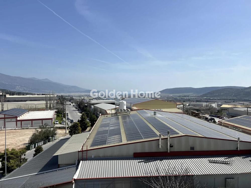 Βιομηχανικός χώρος 1.984 τ.μ. πρός πώληση, Μαγνησία, Αισωνία