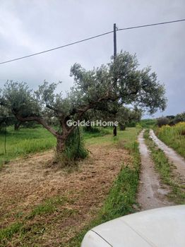 Οικόπεδο 18.700 τ.μ. προς πώληση