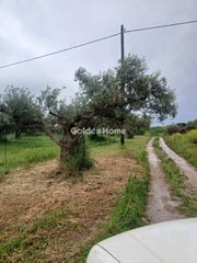 Οικόπεδο 18.700 τ.μ. για πώληση