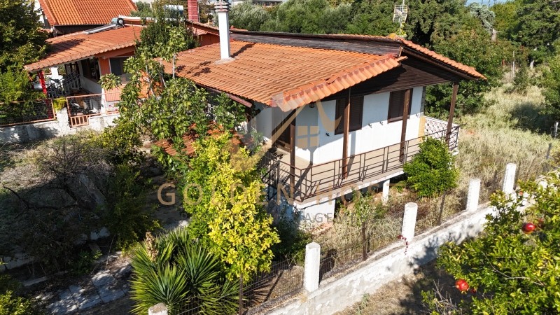 Αγροτεμάχια 4.684 τ.μ. προς πώληση, Πόρτες Μουδανιών