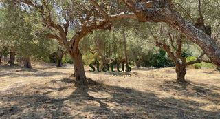 Οικόπεδο 1.360 τ.μ. για πώληση