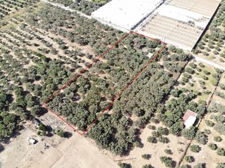 Αγροτεμάχια 4.200 τ.μ. για πώληση, Ν. Ρεθύμνου, Φοινίκας-thumb-6