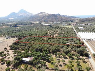 Αγροτεμάχια 4.200 τ.μ. για πώληση, Ν. Ρεθύμνου, Φοινίκας-thumb-7