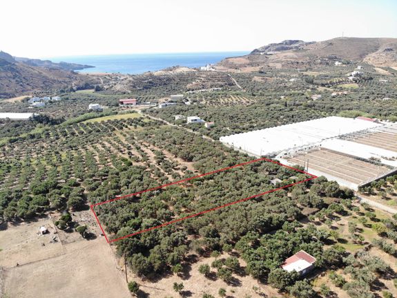 Αγροτεμάχια 4.200 τ.μ. για πώληση, Ν. Ρεθύμνου, Φοινίκας