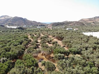 Αγροτεμάχια 4.200 τ.μ. για πώληση, Ν. Ρεθύμνου, Φοινίκας-thumb-9