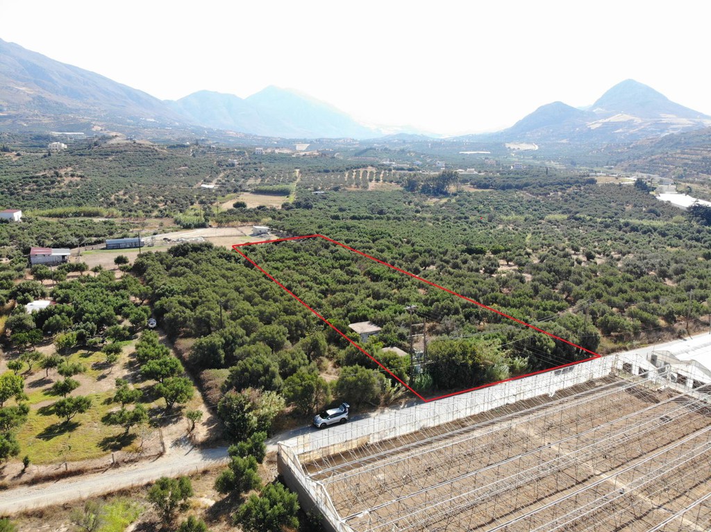Αγροτεμάχια 4.200 τ.μ. πρός πώληση, Ν. Ρεθύμνου, Φοινίκας