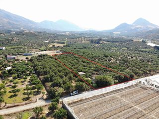 Αγροτεμάχια 4.200 τ.μ. για πώληση, Ν. Ρεθύμνου, Φοινίκας-thumb-1
