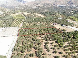 Αγροτεμάχια 4.200 τ.μ. για πώληση, Ν. Ρεθύμνου, Φοινίκας-thumb-4
