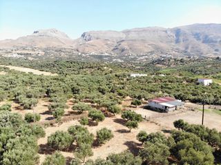 Αγροτεμάχια 4.200 τ.μ. για πώληση, Ν. Ρεθύμνου, Φοινίκας-thumb-8