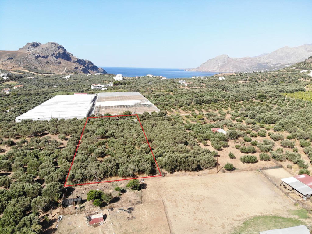 Αγροτεμάχια 4.200 τ.μ. πρός πώληση, Ν. Ρεθύμνου, Φοινίκας