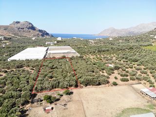 Αγροτεμάχια 4.200 τ.μ. για πώληση, Ν. Ρεθύμνου, Φοινίκας-thumb-3
