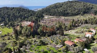 Μονοκατοικία 100 τ.μ. για πώληση