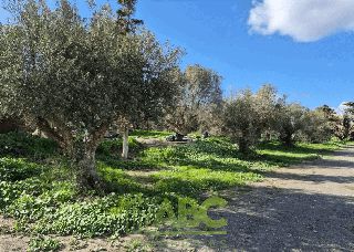 Οικόπεδο 600 τ.μ. για πώληση