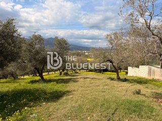 Οικόπεδο 1.000 τ.μ. για πώληση