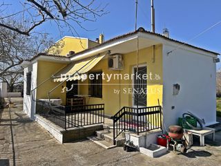 Συγκρότημα διαμερισμάτων 170 τ.μ. προς πώληση, Ερατεινό-thumb-24