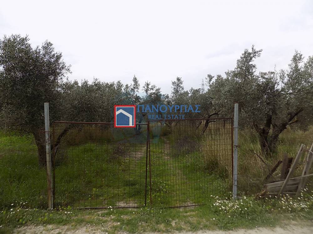 Αγροτεμάχια 4.450 τ.μ. πρός πώληση, Φθιώτιδας, Λαμία