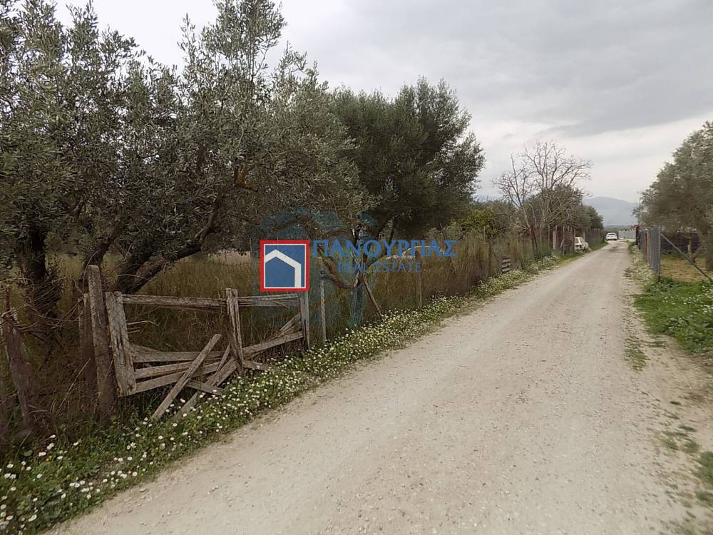 Αγροτεμάχια 4.450 τ.μ. πρός πώληση, Φθιώτιδας, Λαμία