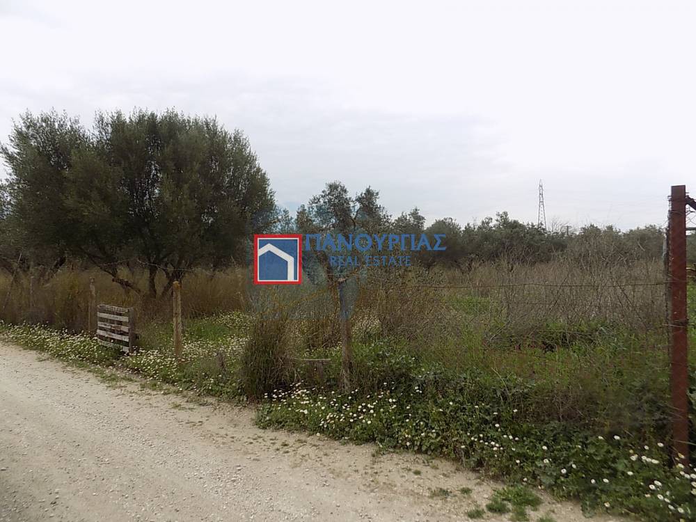 Αγροτεμάχια 4.450 τ.μ. πρός πώληση, Φθιώτιδας, Λαμία