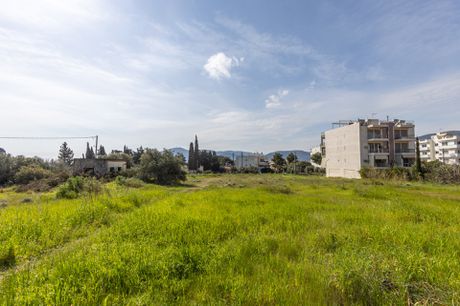 Οικόπεδο 5.500 τ.μ. πρός πώληση