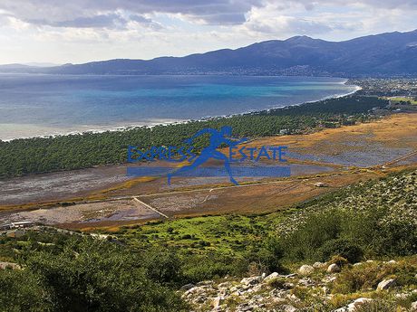 Οικόπεδο 1.050 τ.μ. πρός πώληση