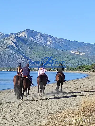 Οικόπεδο 1.050 τ.μ. πρός πώληση, Αθήνα - Ανατολικά Προάστια, Μαραθώνας
