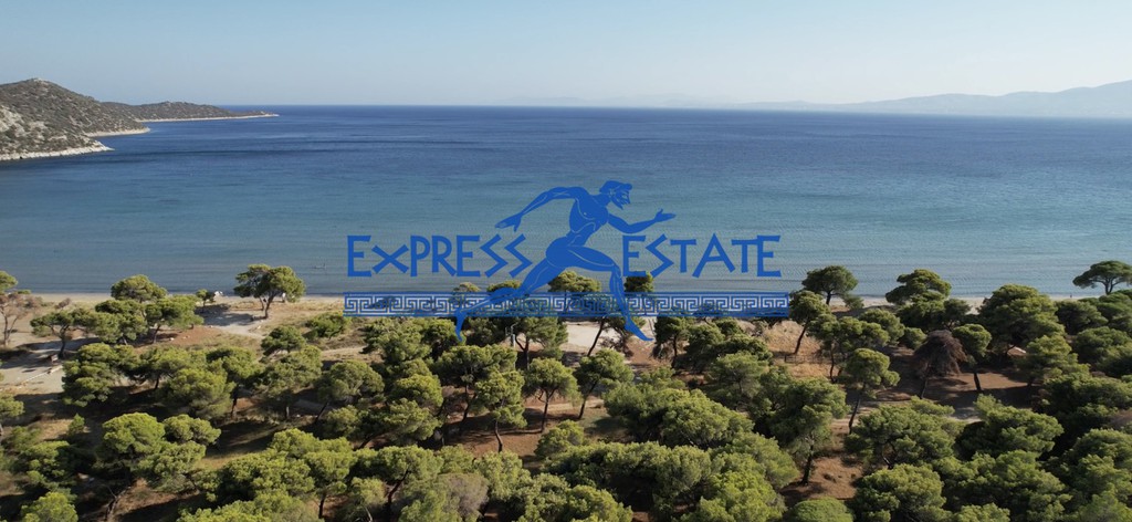 Οικόπεδο 1.050 τ.μ. πρός πώληση, Αθήνα - Ανατολικά Προάστια, Μαραθώνας