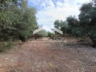Οικόπεδο 2.165 τ.μ. για πώληση, Ν. Χανίων, Φρέ-thumb-7