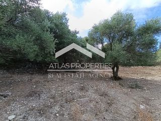 Οικόπεδο 2.165 τ.μ. για πώληση