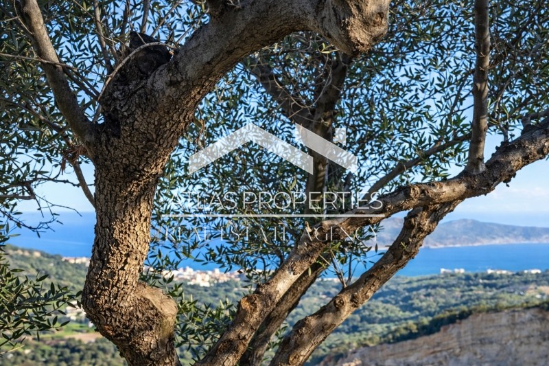 Οικόπεδο 9.500 τ.μ. προς πώληση, Αγία Μαρίνα Νέας Κυδωνίας