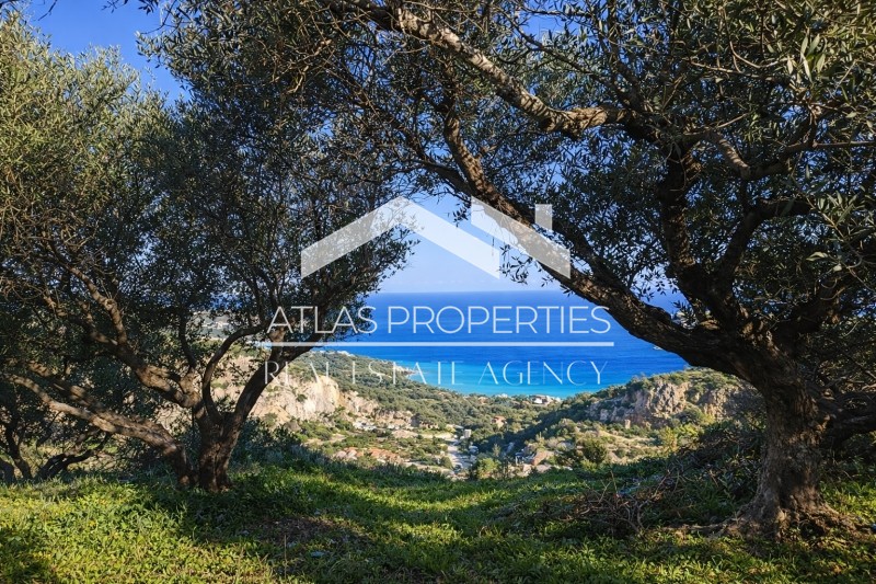Οικόπεδο 9.500 τ.μ. προς πώληση, Αγία Μαρίνα Νέας Κυδωνίας