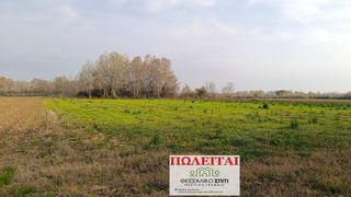 Αγροτεμάχια 4.200 τ.μ. για πώληση