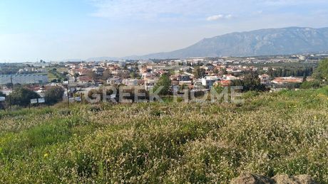 Οικόπεδο 2.000 τ.μ. προς πώληση