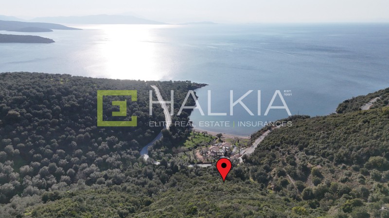 Αγροτεμάχια 23.407 τ.μ. πρός πώληση, Μαγνησία, Σηπιάδα