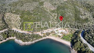 Αγροτεμάχια 23.407 τ.μ. για πώληση