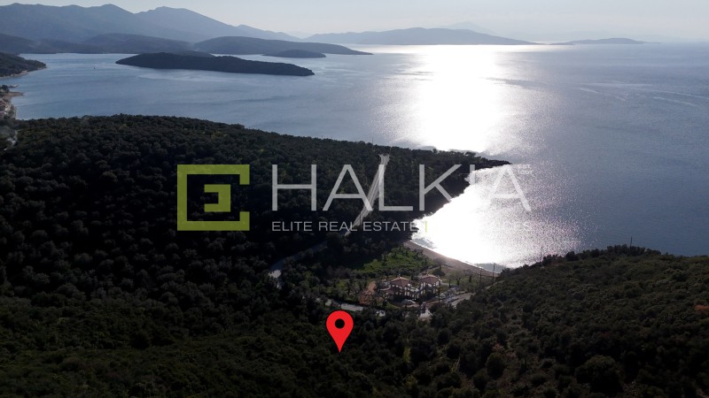 Αγροτεμάχια 23.407 τ.μ. πρός πώληση, Μαγνησία, Σηπιάδα
