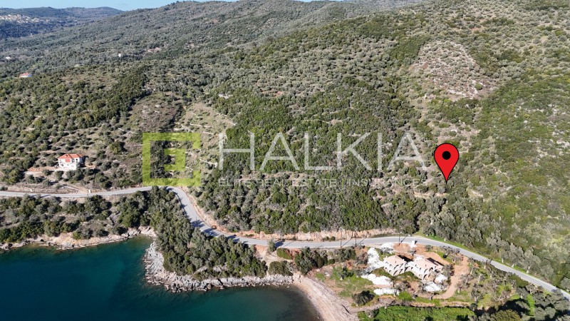 Αγροτεμάχια 23.407 τ.μ. πρός πώληση, Μαγνησία, Σηπιάδα