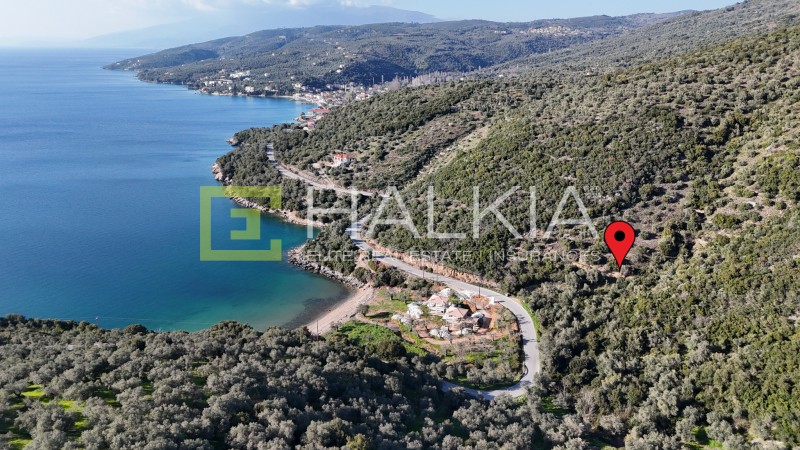 Αγροτεμάχια 23.407 τ.μ. πρός πώληση, Μαγνησία, Σηπιάδα