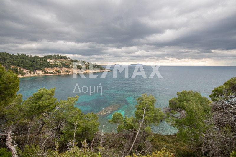 Αγροτεμάχια 4.877 τ.μ. προς πώληση, Χρυσή Μηλιά