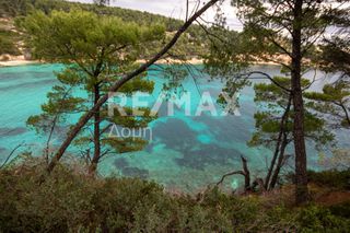 Αγροτεμάχια 4.877 τ.μ. για πώληση